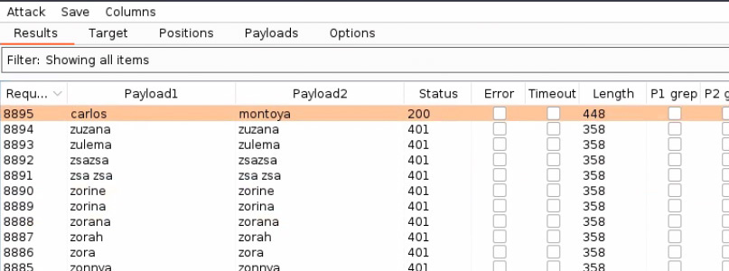 Burp Intruder attack results