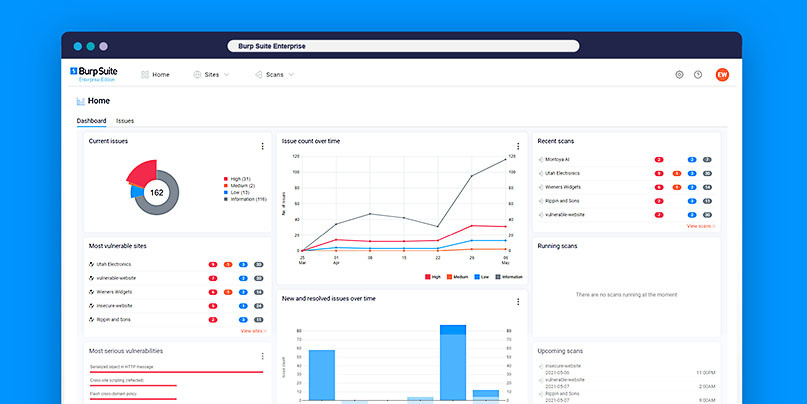 Burp Suite Enterprise Edition hosted demo