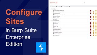 How to configure sites in Burp Suite Enterprise Edition