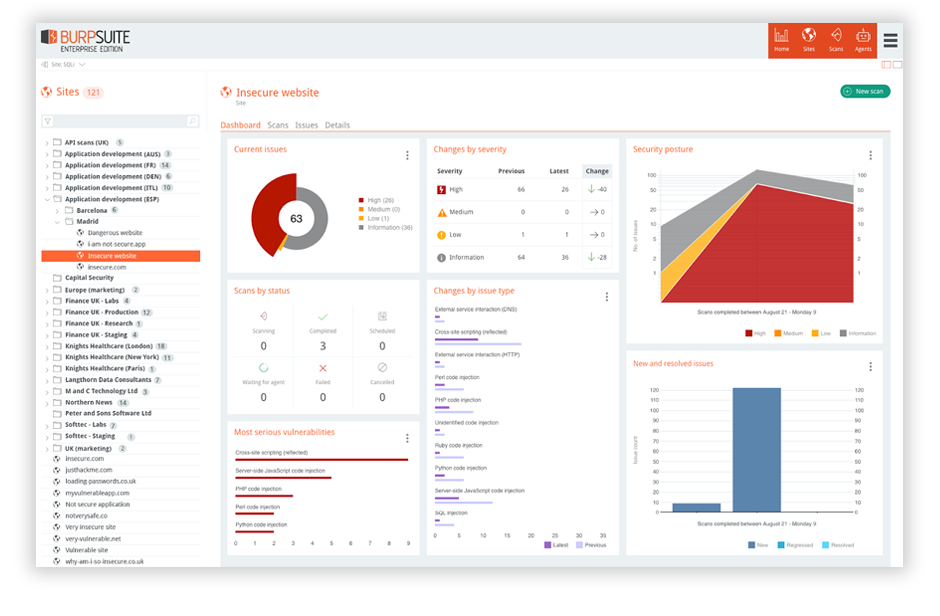 Screenshot of Burp Suite Enterprise Edition's security reporting