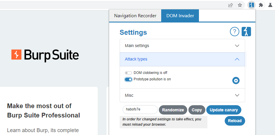 DOM Invader attack types settings