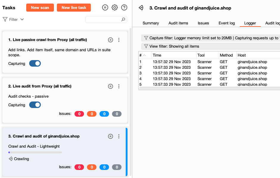 Logger task view