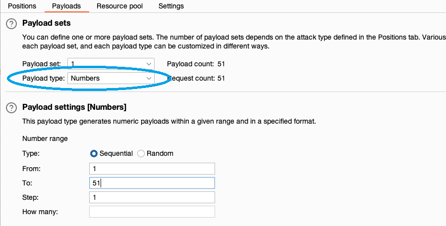 Setting the payload type enumerating