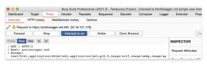 Viewing an intercepted request in Burp Proxy