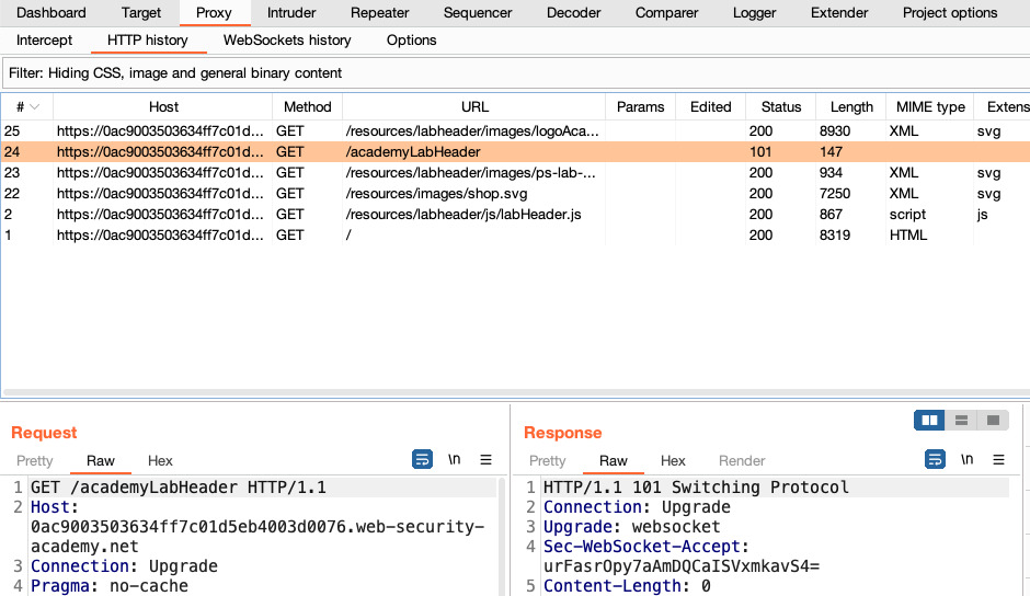 Viewing the HTTP history in Burp Proxy